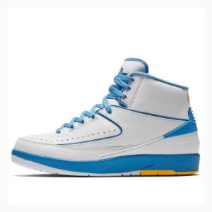 Air Jordan 2 Barbati Nike Retro Melo Ghete Baschet Albi Albastri | JD-624MD