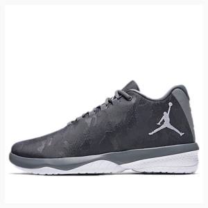 Air Jordan Barbati Nike B.Fly X Ghete Baschet Gri | JD-784ZB