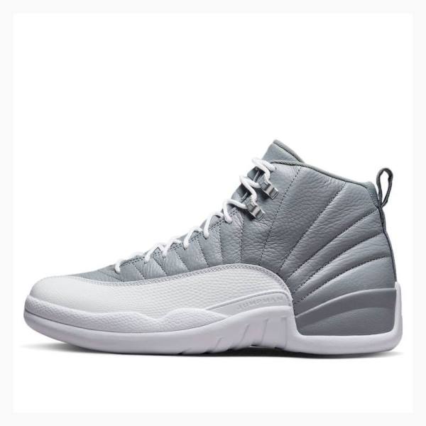 Air Jordan 12 Barbati Nike Retro Stealth Ghete Baschet Gri | JD-025SN