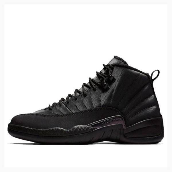 Air Jordan 12 Barbati Nike Retro WNTR Winterized - Anthracite Ghete Baschet Negrii | JD-145PW