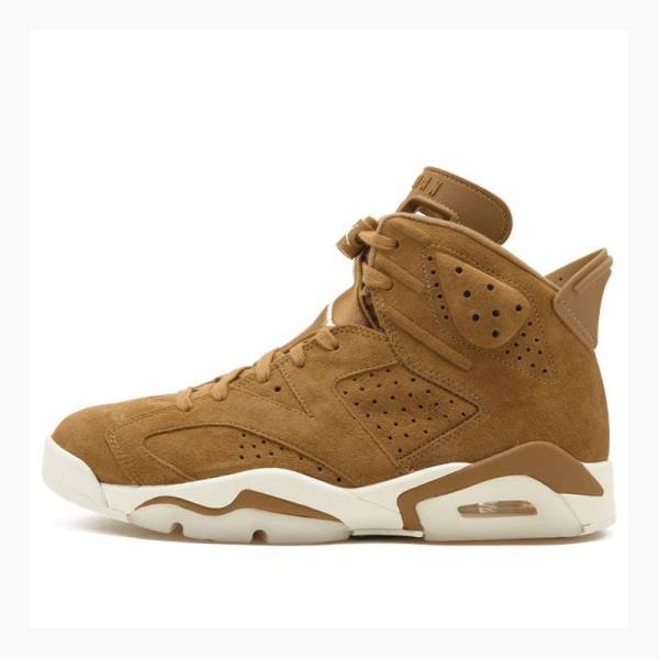 Air Jordan 6 Barbati Nike Retro Wheat Ghete Baschet Maro | JD-027NC