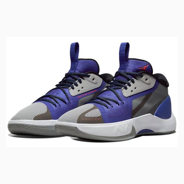 Air Jordan Barbati Nike Zoom Separate PF Ghete Baschet Gri Albastri | JD-936AW